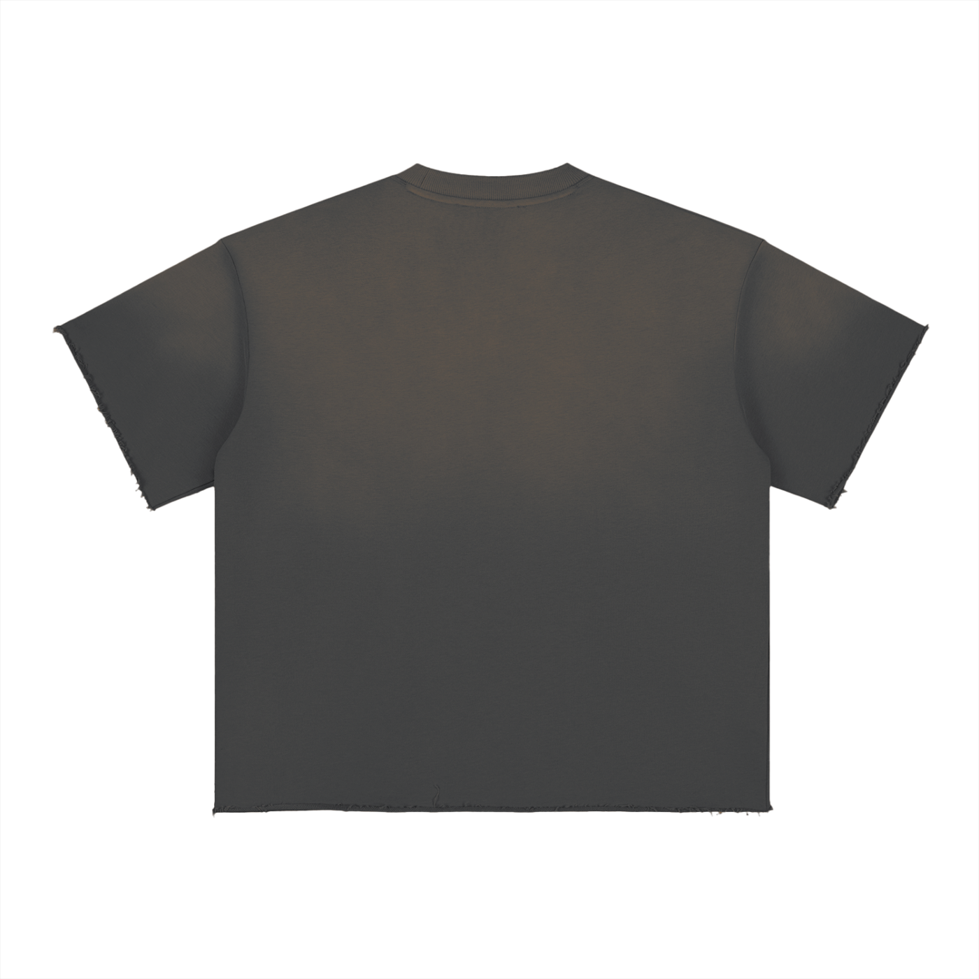 Blank Sun Fade Raw Edge T-Shirt