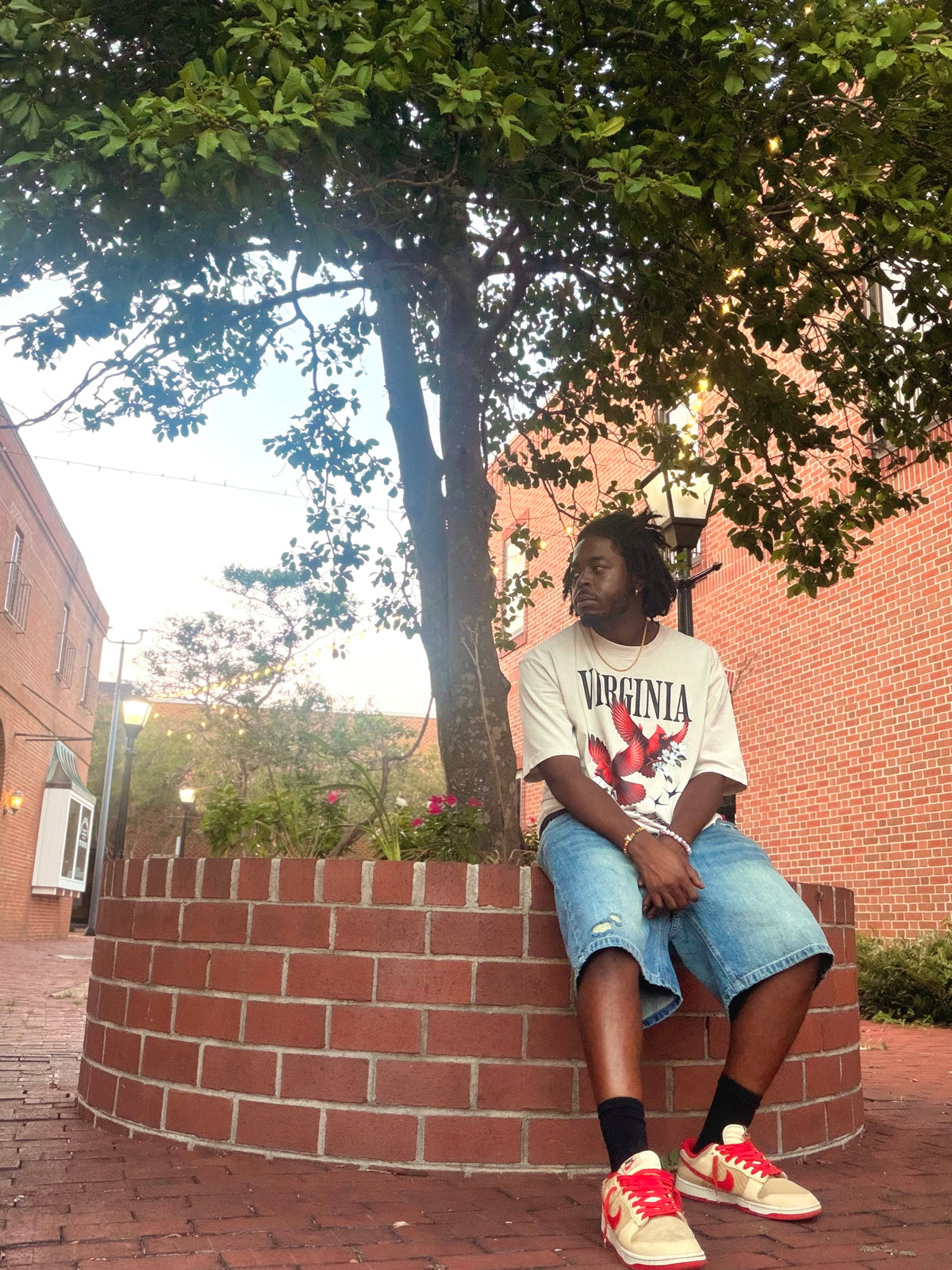 Boxy Virginia Cardinal Graphic T-Shirt