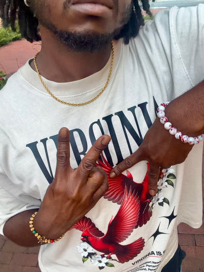Boxy Virginia Cardinal Graphic T-Shirt