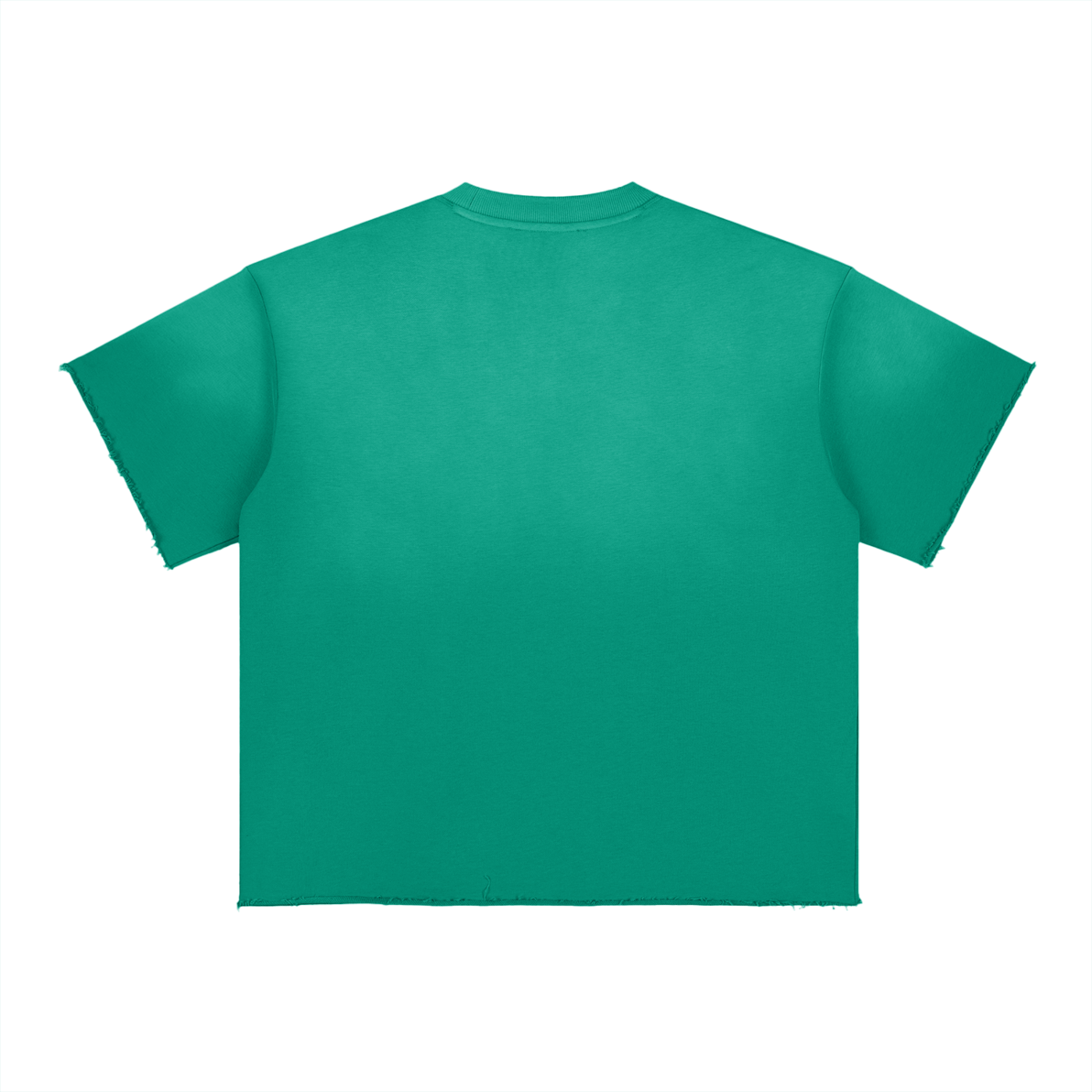 Blank Sun Fade Raw Edge T-Shirt