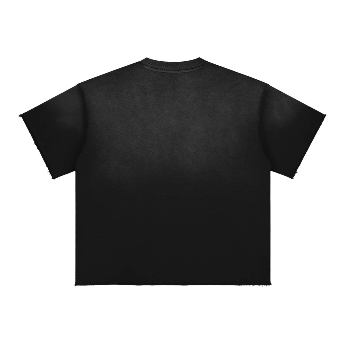 Blank Sun Fade Raw Edge T-Shirt