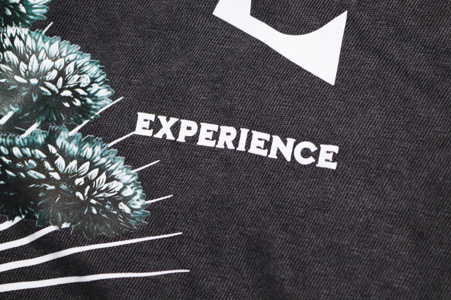 Evolve Vintage T-shirt