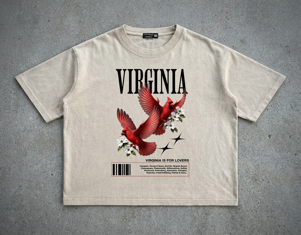 Virginia Mineral Wash Boxy Graphic T-shirt